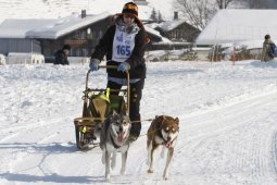 Lenk 2012 SM